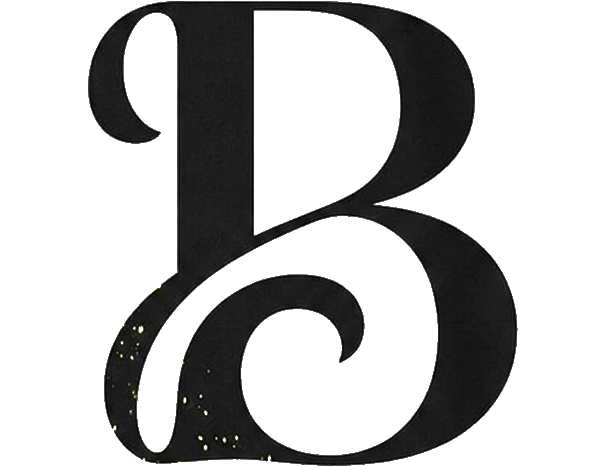 Bindiotti Logo